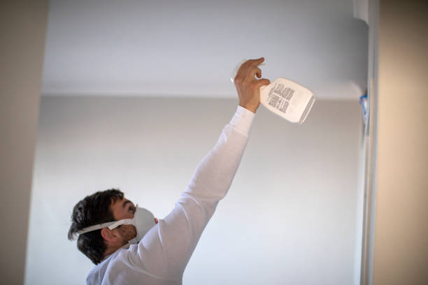 Best Commercial Mold Remediation in Montague, CA
