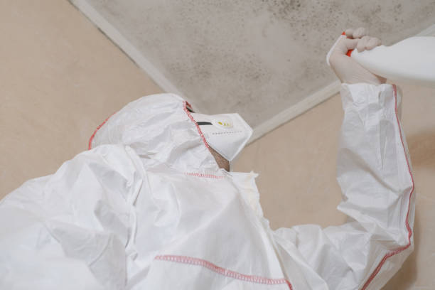 Best Industrial Mold Remediation in Montague, CA